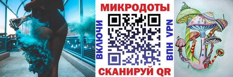 Псилоцибиновые грибы Psilocybe  Петровск 